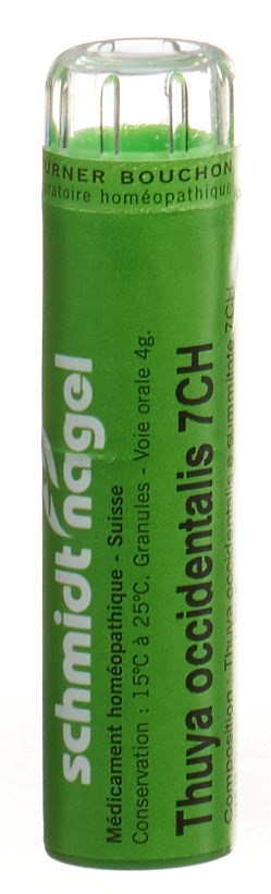 SCHMIDT-NAGEL thuya occidentalis 7 CH