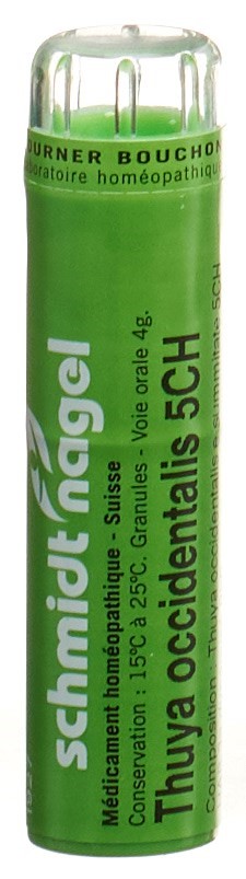 SCHMIDT-NAGEL Thuya occidentalis 5 CH