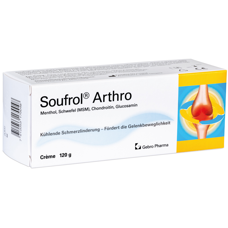 SOUFROL Arthro, Hauptbild