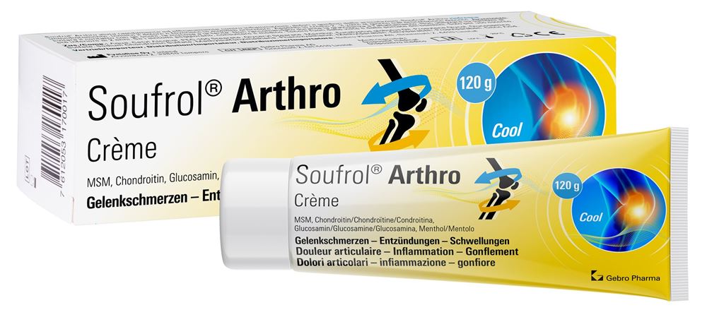 SOUFROL Arthro, Hauptbild