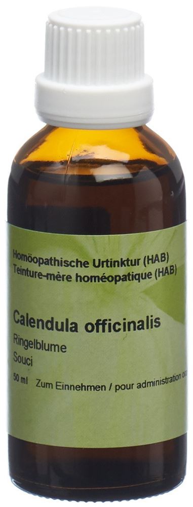 , immagine principale