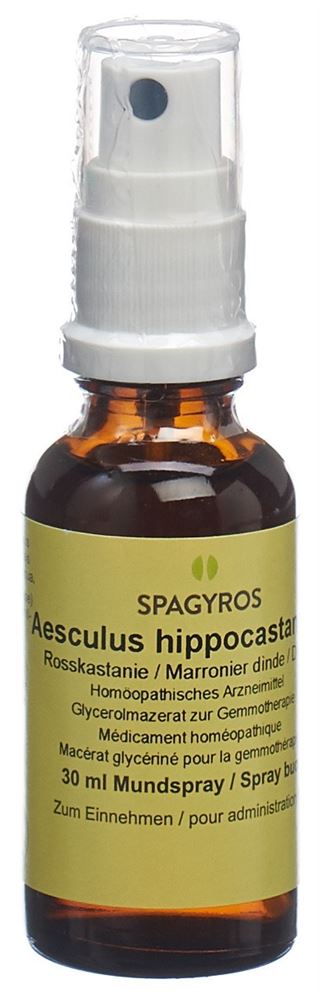 Spagyros Aesculus hippocastanum 1 D