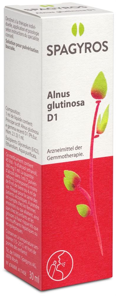 Spagyros Alnus glutinosa 1 D, Hauptbild