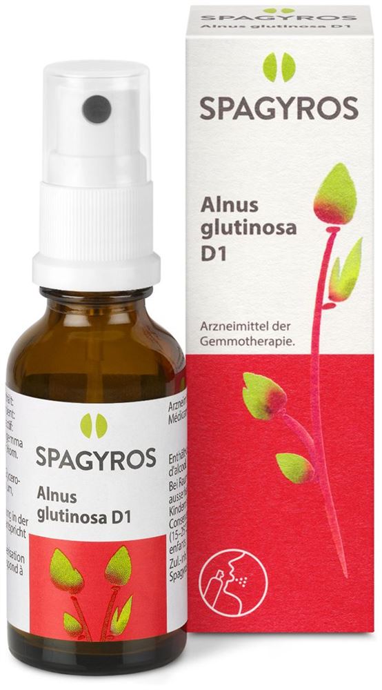 Spagyros alnus glutinosa 1 D, image 2 sur 2