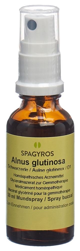 Spagyros alnus glutinosa 1 D