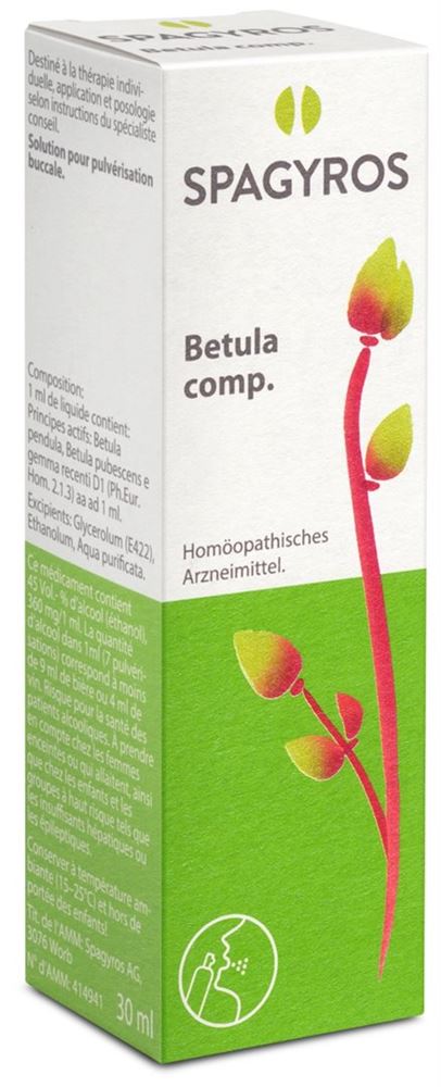 Spagyros Betula comp 1 D, Hauptbild