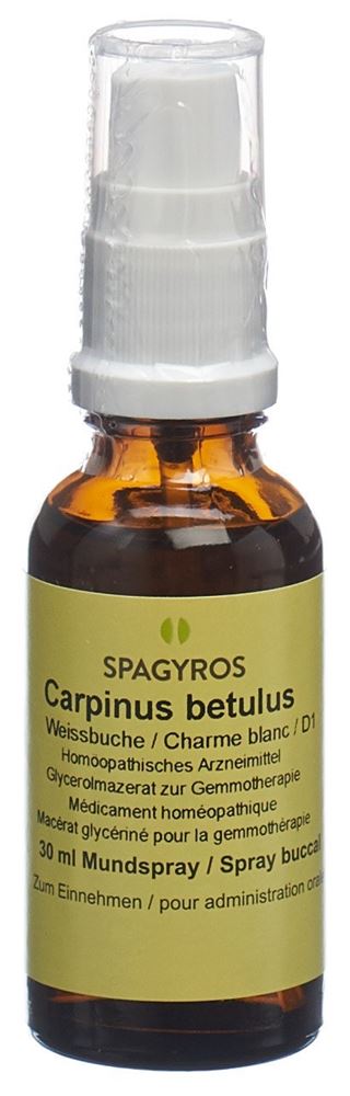 Spagyros carpinus betulus 1 D, image principale