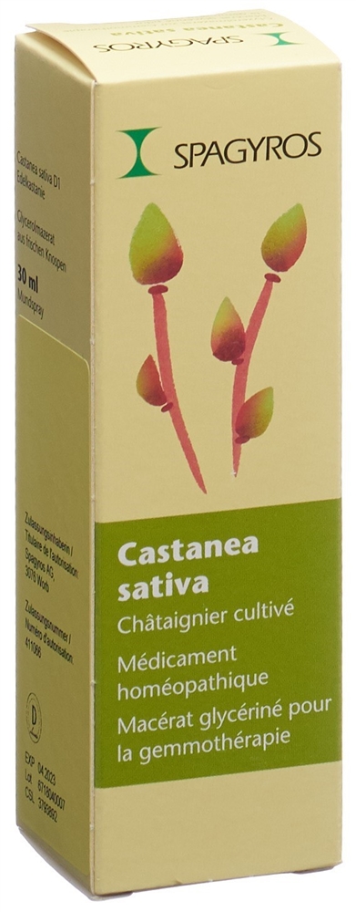 Spagyros castanea sativa 1 D, image 2 sur 2