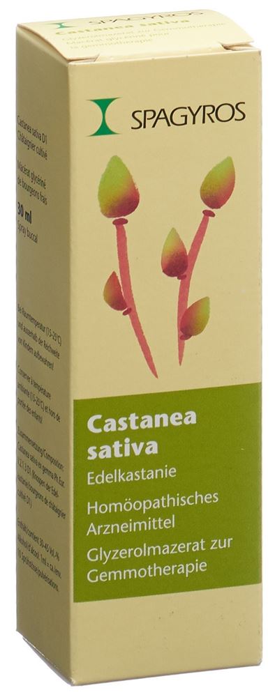 Spagyros castanea sativa 1 D