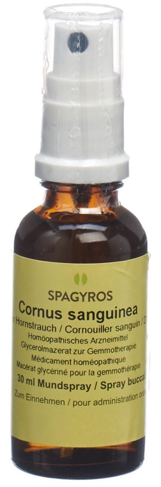 Spagyros cornus sanguinea 1 D