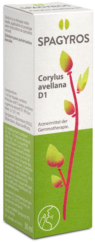 Spagyros Corylus avellana 1 D