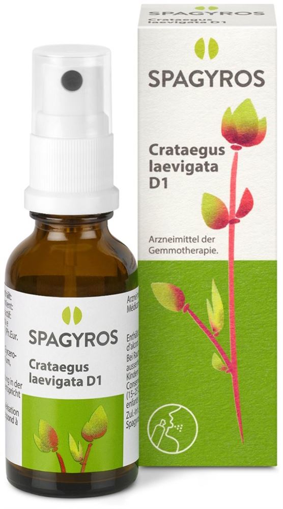Spagyros Crataegus laevi 1 D, Bild 2 von 2
