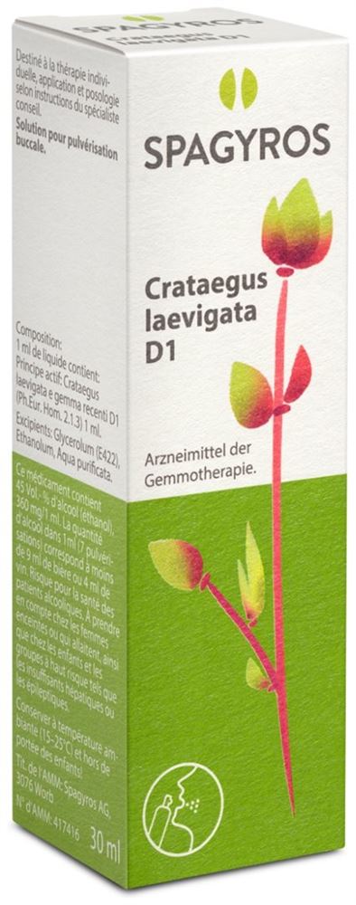 Spagyros Crataegus laevi 1 D