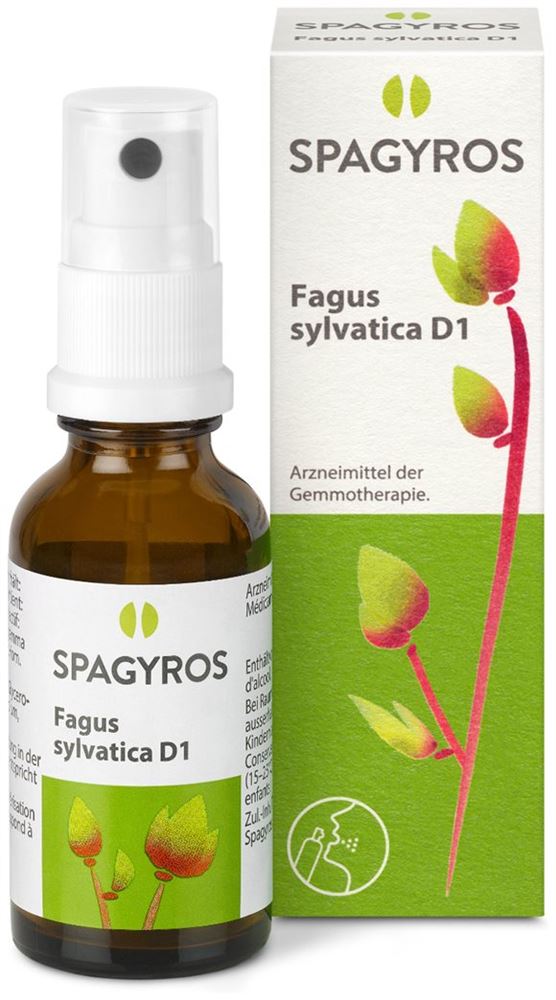 Spagyros Fagus sylvatica 1 D, Bild 2 von 2