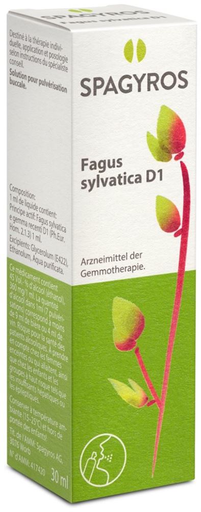 Spagyros Fagus sylvatica 1 D