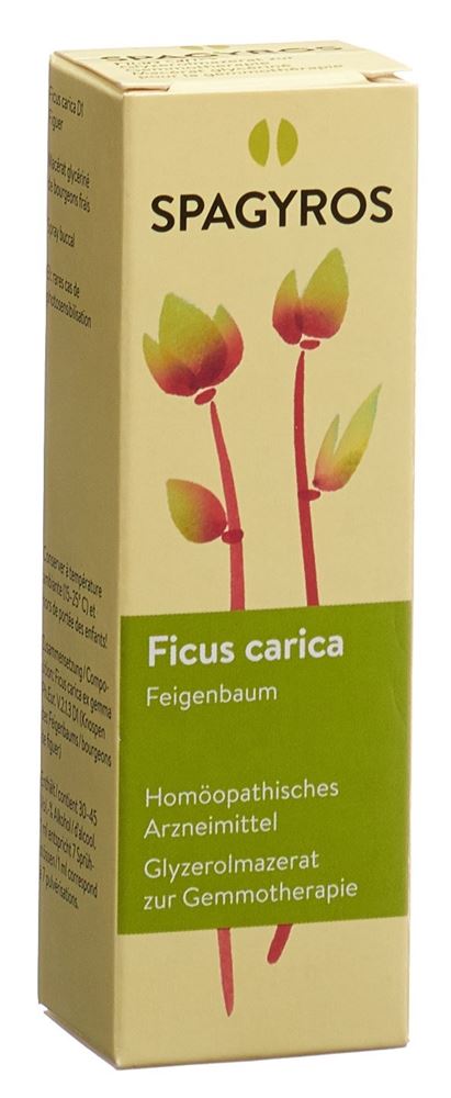 Spagyros Ficus carica 1 D