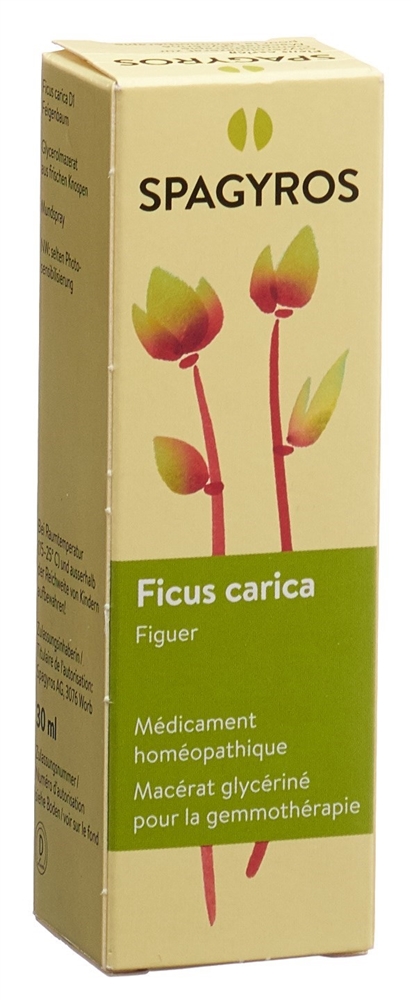 Spagyros ficus carica 1 D, image 2 sur 2