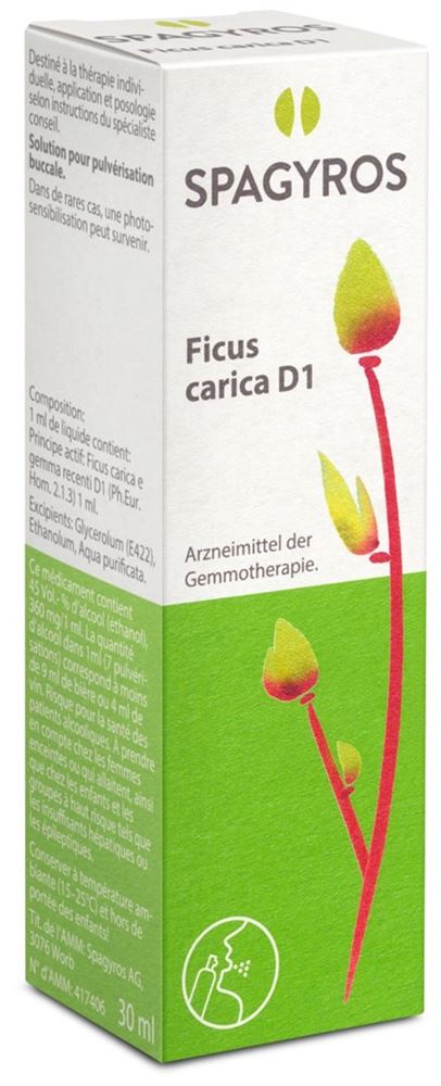 Spagyros ficus carica 1 D