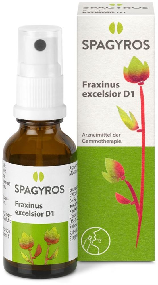 Spagyros Fraxinus excelsior 1 D, Bild 2 von 2