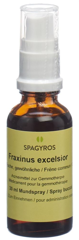 Spagyros fraxinus excelsior 1 D