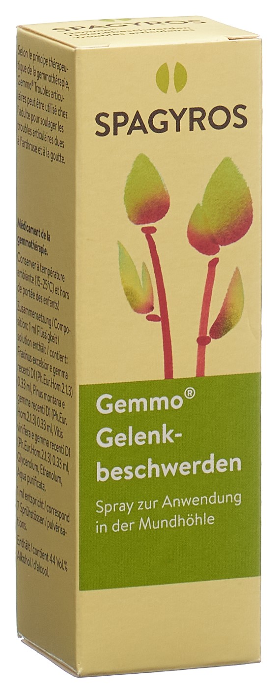 Spagyros Gelenkbeschwerden Mundspray, Hauptbild