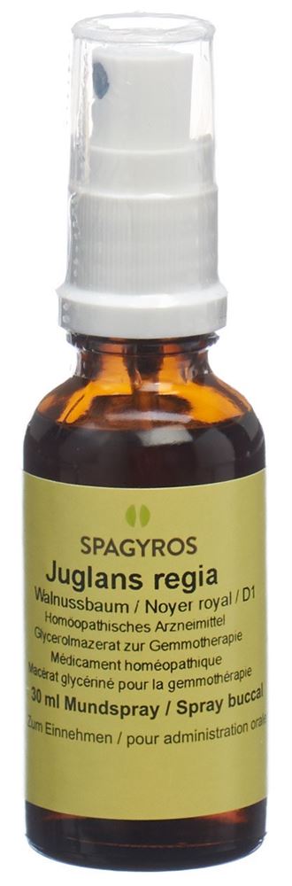 Spagyros Juglans regia 1 D