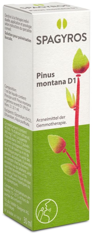Spagyros Pinus montana 1 D