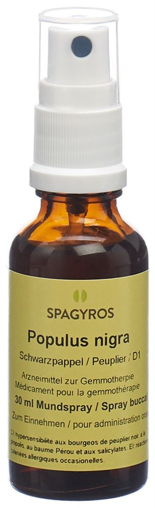 Spagyros Populus nigra 1 D