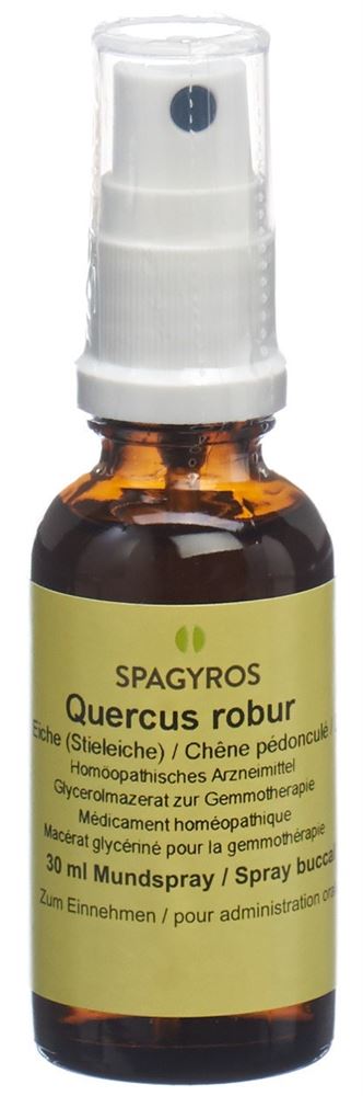 Spagyros Quercus robur 1 D