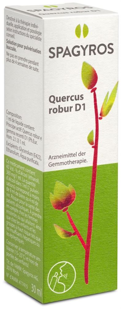 Spagyros Quercus robur 1 D, Hauptbild