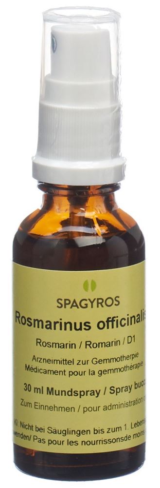 Spagyros Rosmarinus officinalis 1 D