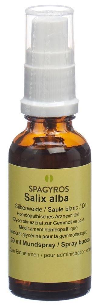 Spagyros salix alba 1 D