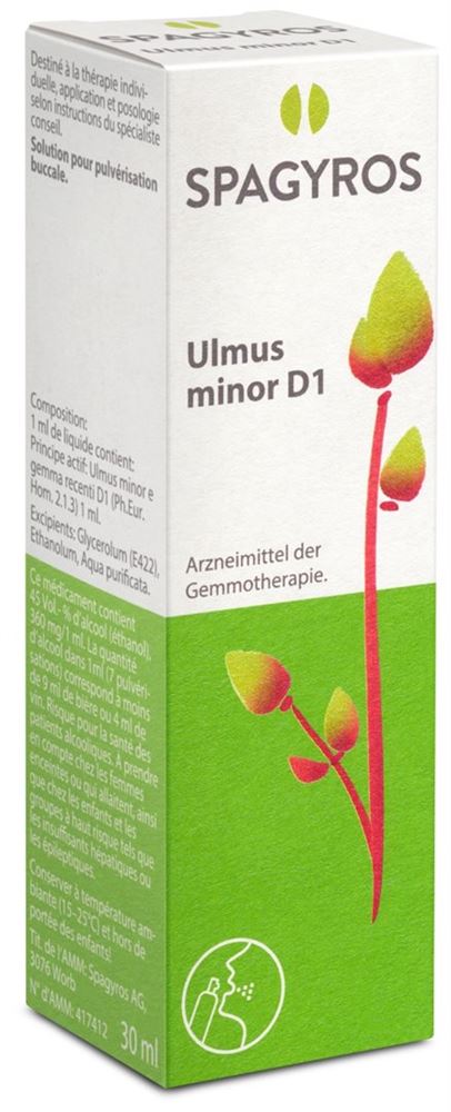 Spagyros Ulmus minor 1 D
