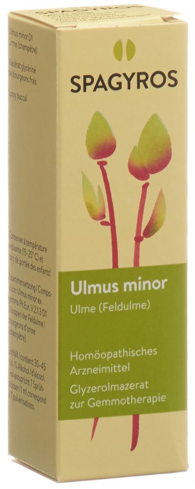 Spagyros ulmus minor 1 D