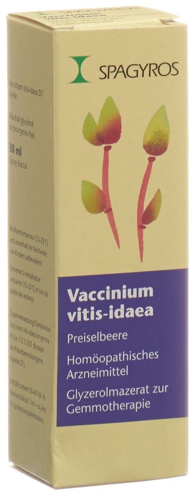 , immagine principale