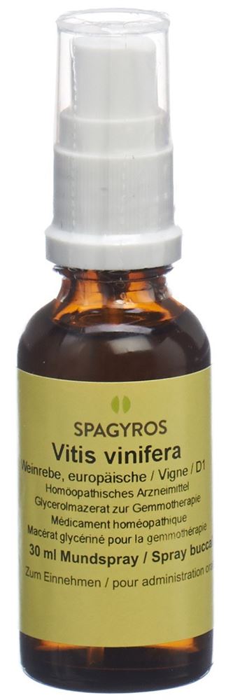 Spagyros vitis vinifera 1 D