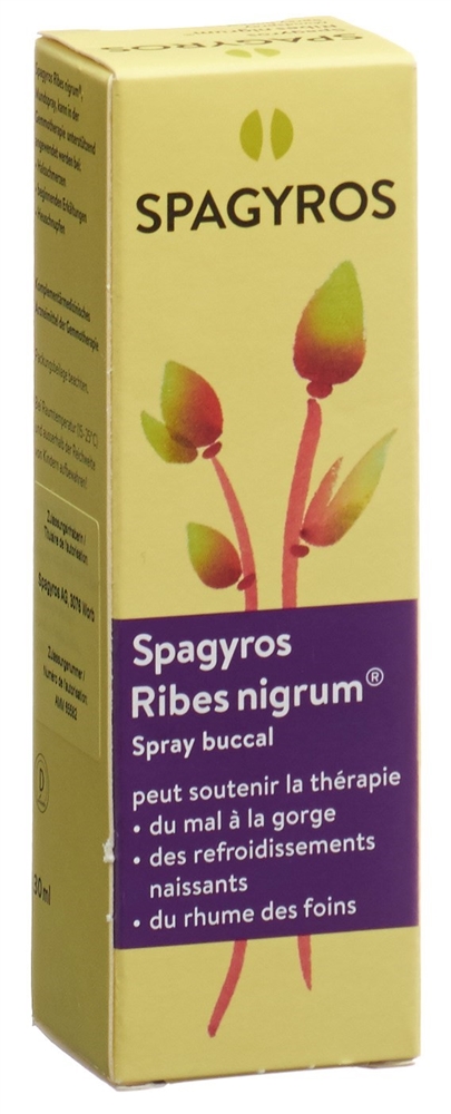 Spagyros Ribes nigrum Mundspray 1 D, Bild 2 von 2