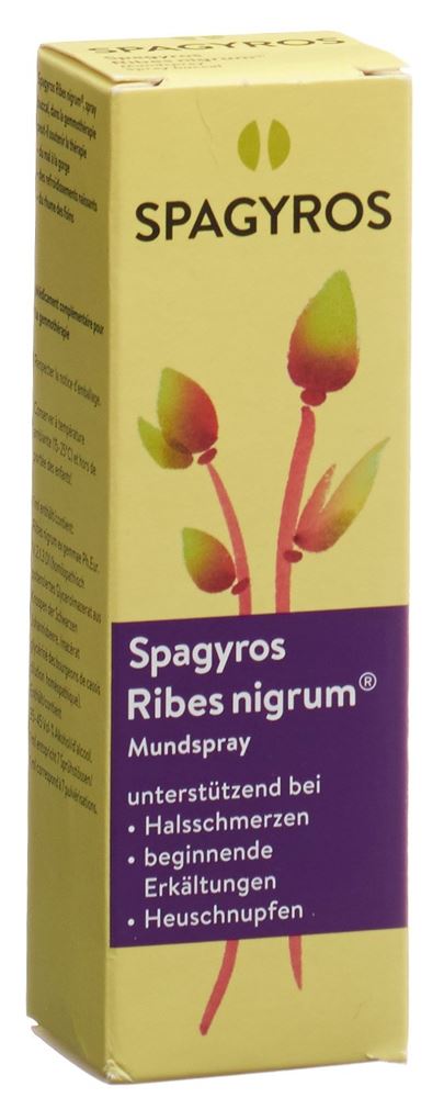 Spagyros ribes nigrum spray buccal 1 D, image principale