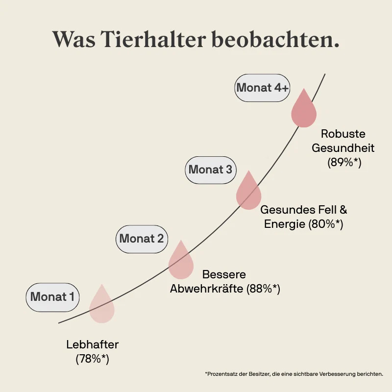 STYLLA Resilience für Katzen, Bild 2 von 5