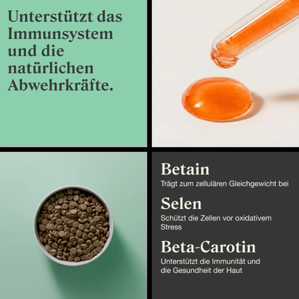 STYLLA Resilience für Katzen, Bild 3 von 5