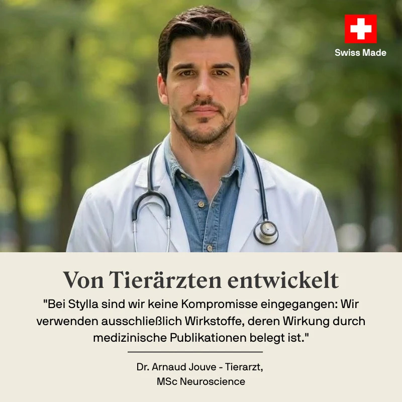 STYLLA Resilience für Katzen, Bild 4 von 5