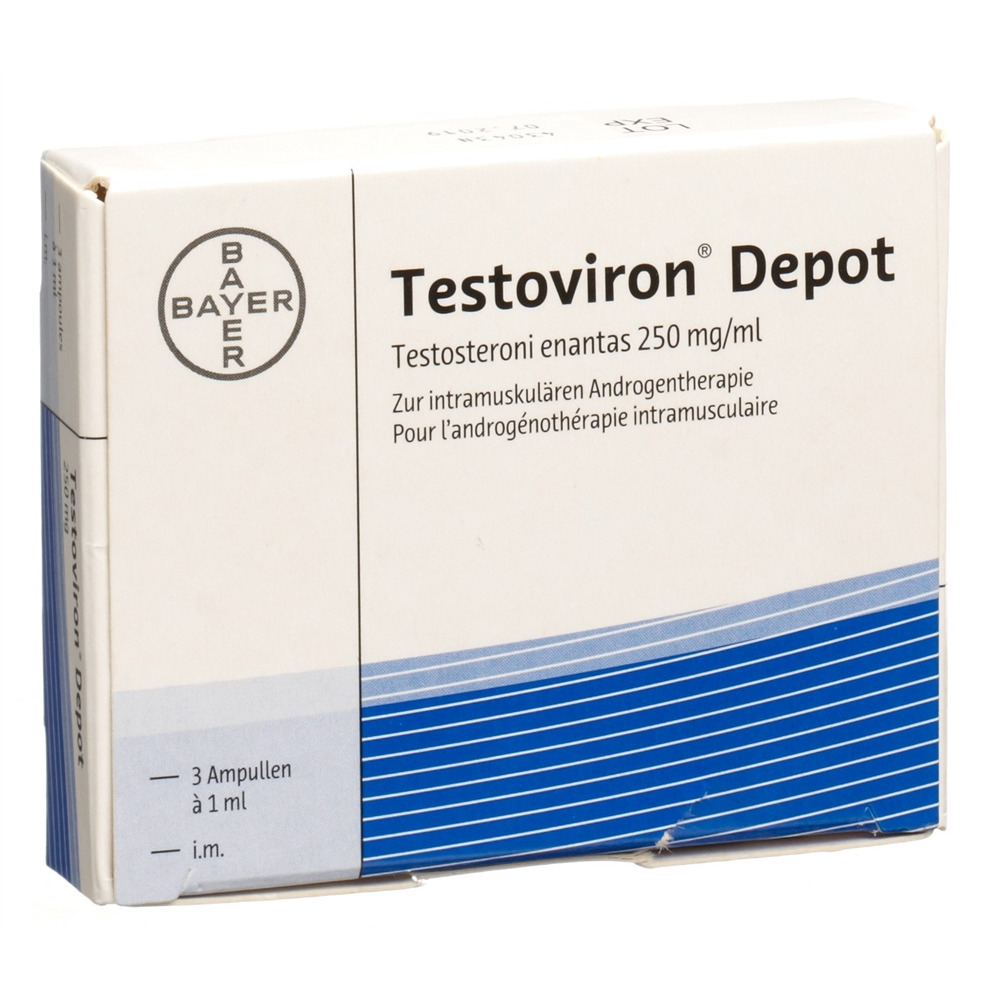 TESTOVIRON Dépôt 250 mg/ml, image principale
