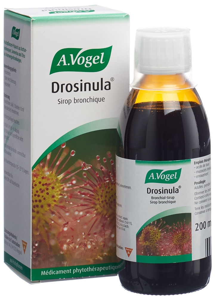 VOGEL Drosinula, Bild 3 von 4