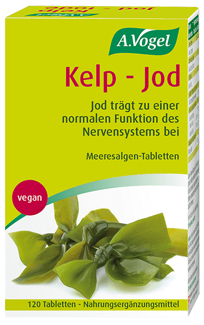 VOGEL Kelp Meeresalgen 250 mg, Hauptbild