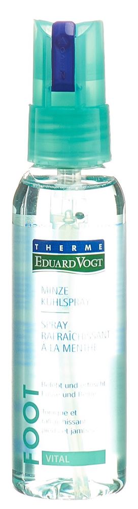 EDUARD VOGT VITAL Fuss Beinspray, Hauptbild