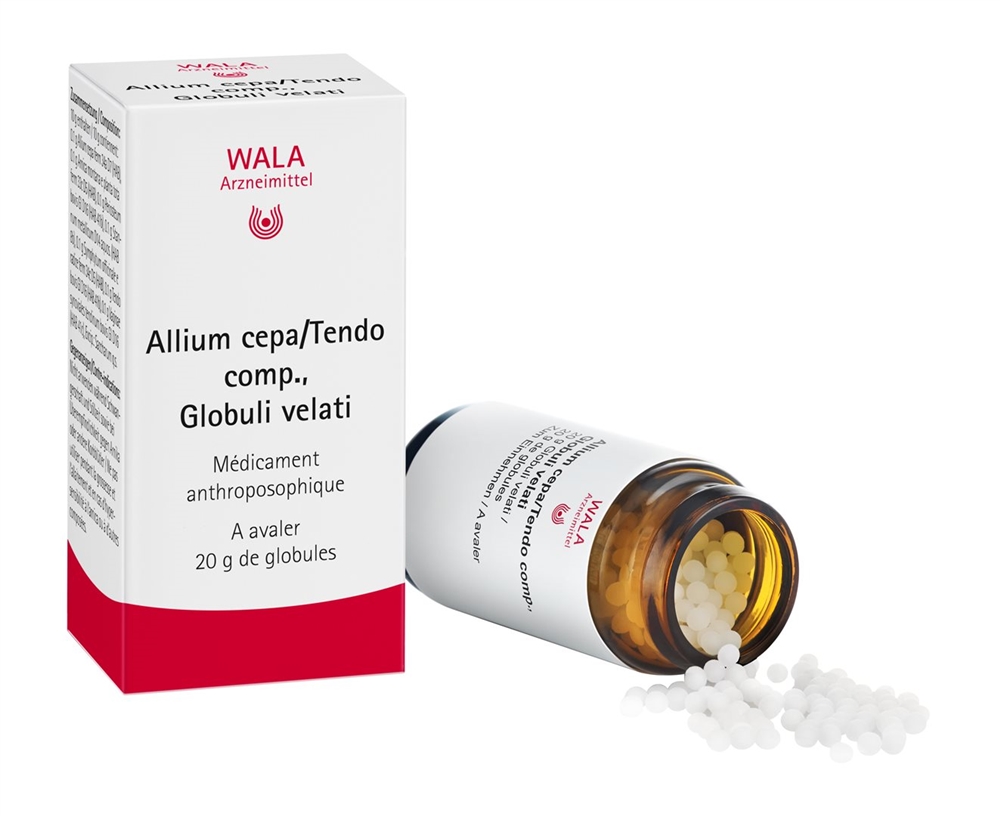 WALA Allium cepa/Tendo comp., Bild 3 von 4