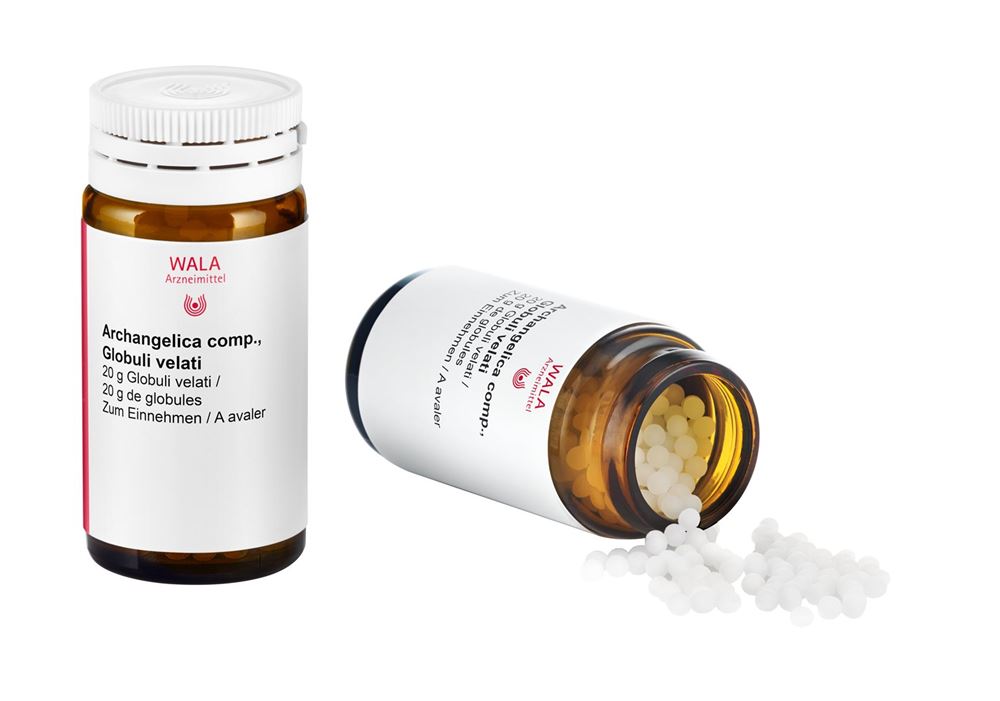 WALA archangelica comp.