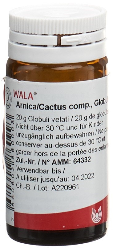 WALA Arnica/Cactus comp., Hauptbild
