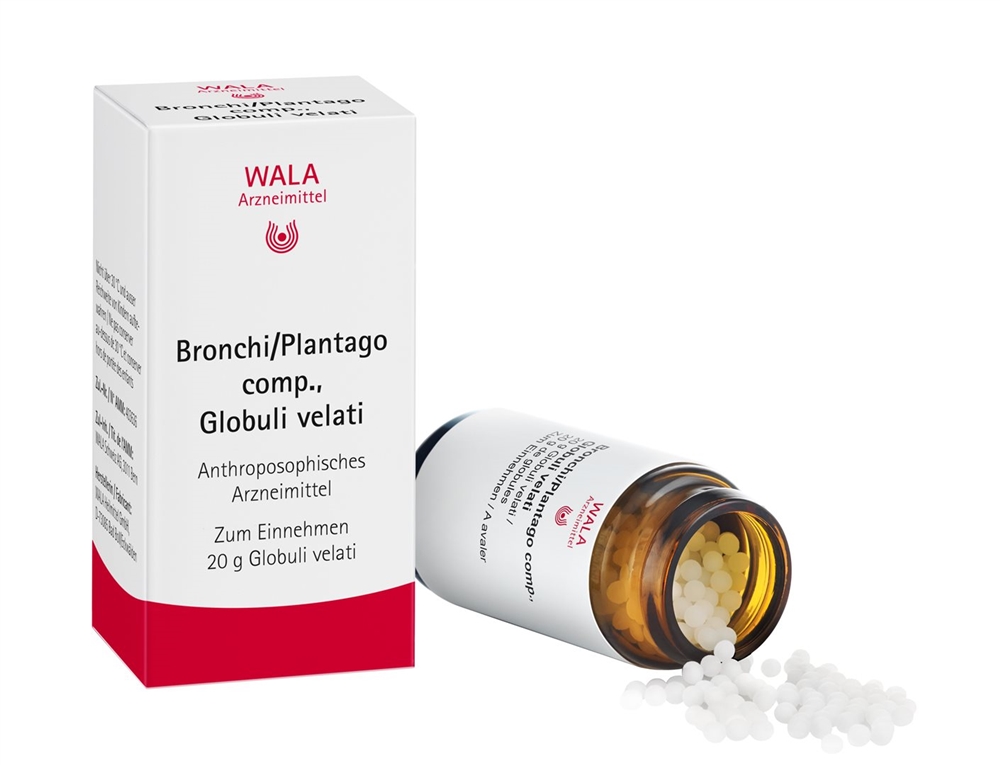 WALA bronchi/plantago comp., image 2 sur 4