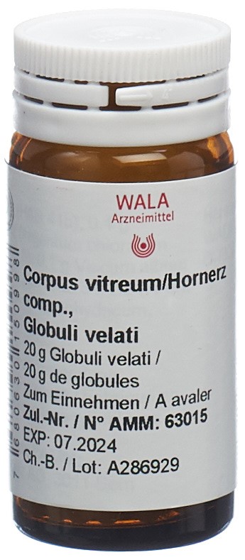 WALA corpus vitreum/hornerz comp, image principale